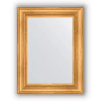 Зеркало в багетной раме Evoform Definite BY 3059 62 x 82 см, травленое золото