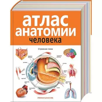 Атлас анатомии человека