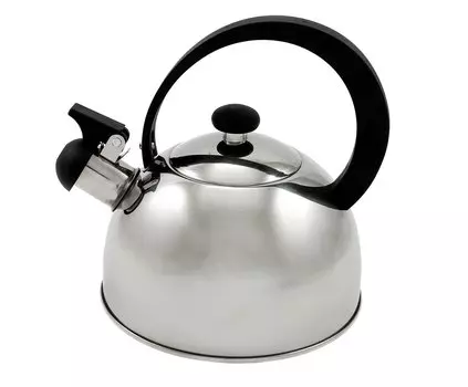 Чайник газовый Добрыня (2,0л)