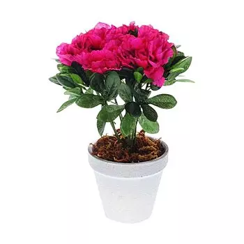 Цветочная композиция «Азалия»