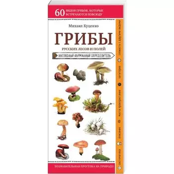 Грибы русских лесов и полей. Наглядный карманный определитель