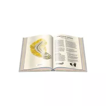 Энциклопедия удивительных животных