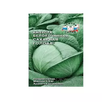 Капуста «Сахарная Голова»