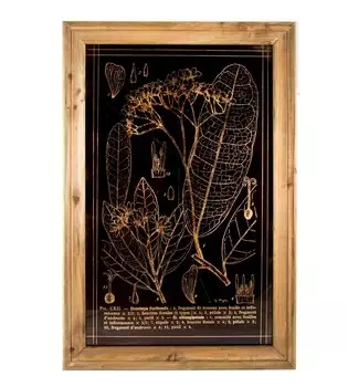 Картина «Растения»