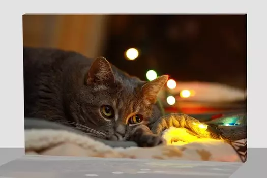 Картина с LED подсветкой 40х30см