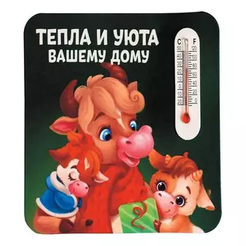 Магнит с термометром «Тепла и уюта вашему дому»