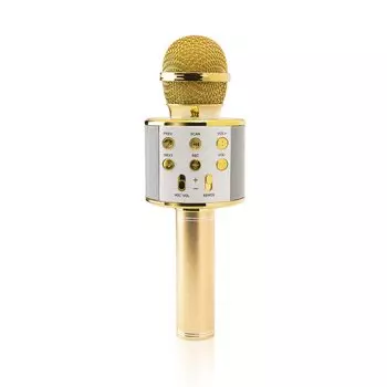 Микрофон «Золотой голос»