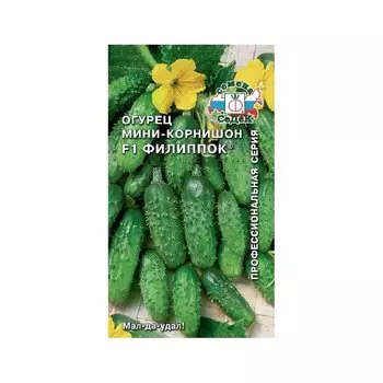 Огурец «Филиппок F1»