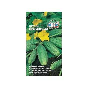 Огурец «Нежинский»