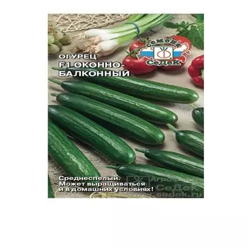 Огурец «Оконно-балконный»
