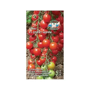 Томат «Спрут черри F1»