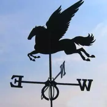 Флюгер Glori ir Ко Пегас