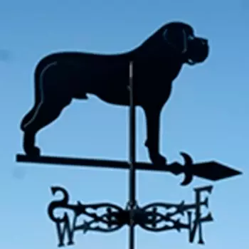 Флюгер Glori ir Ко Сенбернар