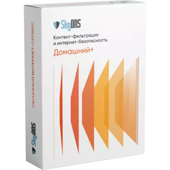 Цифровой продукт SKyDNS