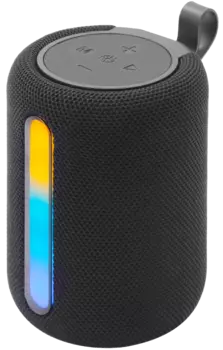 Портативная акустическая система Leef