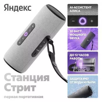 Портативная акустическая система Яндекс