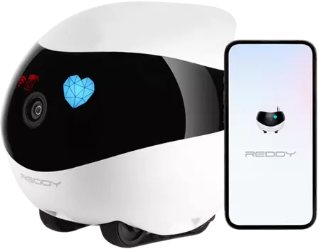 Робот-друг RED Solution