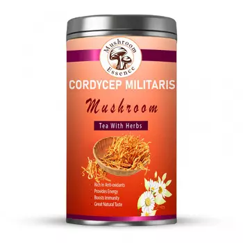 Чай с грибом Кордицепс и травами (40 г), Cordycep Militaris Mushroom Tea with Herbs, произв. Mushroom Essence
