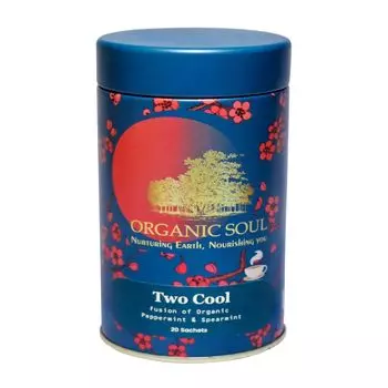 Чай с органической Колосистой и Перечной Мятой (20 пак, 2 г), Two Cool Fusion of Organic Peppermint & Spearmint, произв. Organic Soul