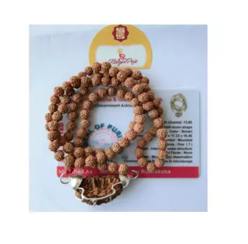 Чётки из Рудракши (1 мукхи), Certified Rudraksha Mala, произв. Kalyan Puja