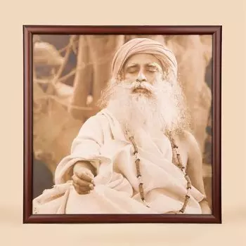 Фото Садхгуру, Sadhguru Photo, произв. Isha Life