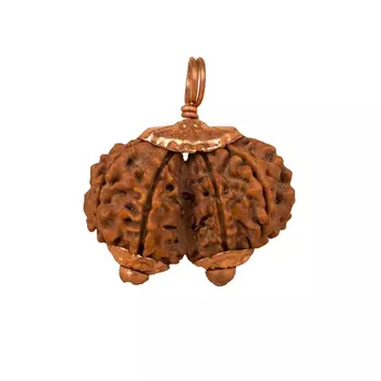 Гаури-Шанкар Рудракша, Consecrated Isha Gauri-Shankar Rudraksha, произв. Isha Life