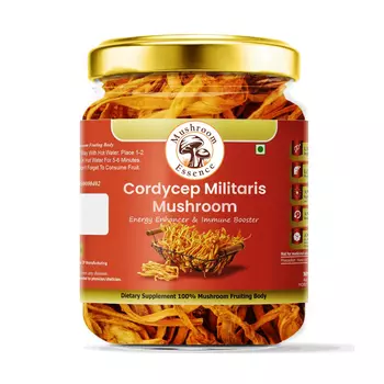 Гриб Кордицепс (20 г), Cordycep Militaris Mushroom, произв. Mushroom Essence