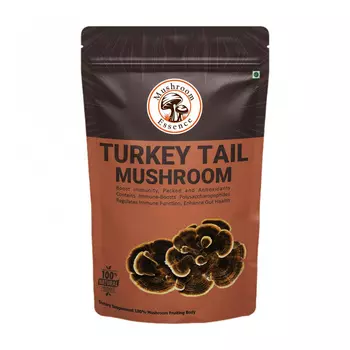 Гриб Трутовик разноцветный (40 г), Turkey Tail Mushroom, произв. Mushroom Essence