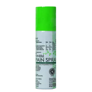Пэйн спрей (60 мл), Pain Spray, произв. Kottakkal Ayurveda