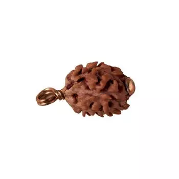 Рудракша (2 мукхи), Dwimukhi Rudraksha Bead, произв. Isha Life
