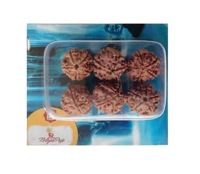 Рудракша: для водной терапии (6 штук), Rudraksha Water Beads, произв. Kalyan Puja