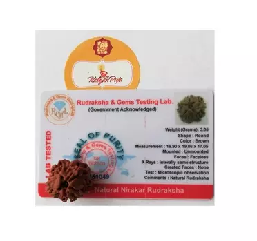 Рудракша сертифицированная (0 мукхи), Faceless Rudraksha (Nirankar), произв. Kalyan Puja