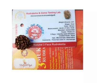 Рудракша сертифицированная (3 мукхи), 3 Mukhi Certified Rudraksha, произв. Kalyan Puja