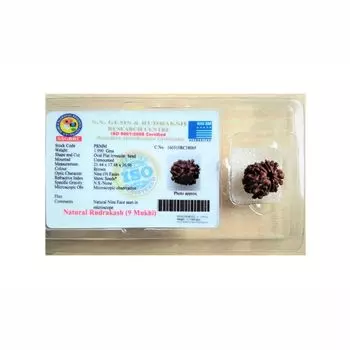 Рудракша сертифицированная (9 мукхи), 9 Mukhi Certified Rudraksha (Nepal Origin), произв. Kalyan Puja