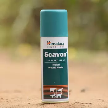 Скавон Вет (100 мл), Scavon Vet, произв. Himalaya