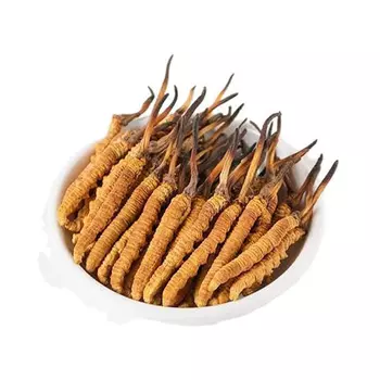 Тибетский гусеничный гриб (кордицепс) (3 г), Tibetan Keeda Jadi, произв. MYINDIA