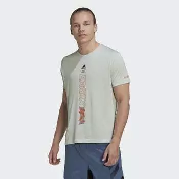 Мужская футболка adidas Terrex Agravic Tee (Зеленая)