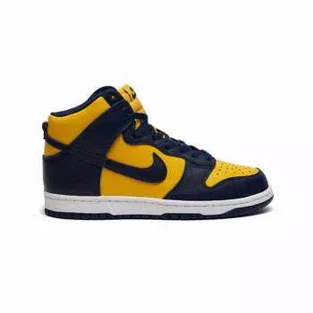 Nike Dunk High Michigan (2020)