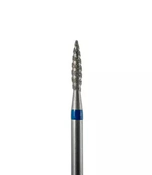 804 243 524 021 Средняя