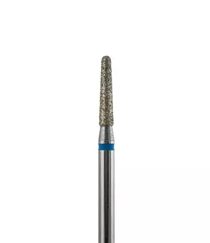 810 199 524 021 Средняя