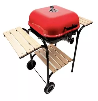 Гриль-коптильня Green Glade ASK18