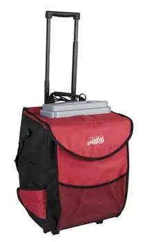 Сумка-холодильник AVS CB-32A 32 л., 12V