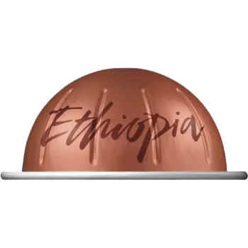 Кофе бленд Master Origins Ethiopia (150 ml)