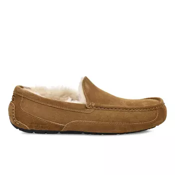UGG Ascot