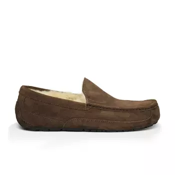 UGG Ascot Unisex