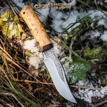 Нож АиР Клычок-1, сталь М390, рукоять карельская береза