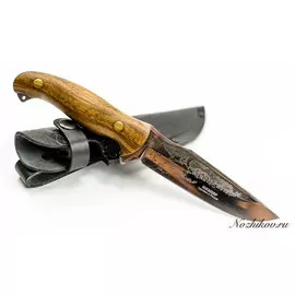 Нож Сайгак, сталь X50CrMoV15, орех, Кизляр