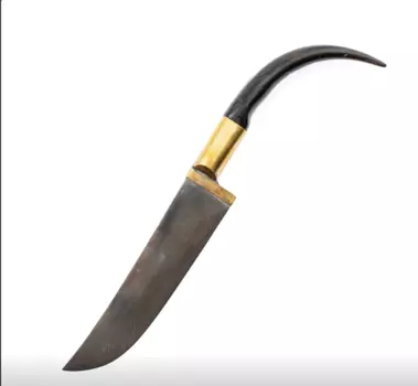 Пчак Насретдин, рог