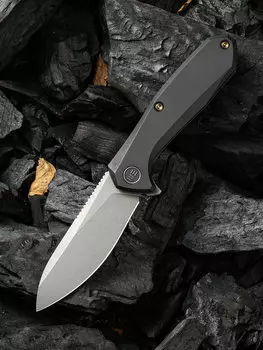Складной нож WE Knife Mote, S35VN