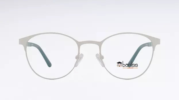 Оправа BANISS BR5069 с03